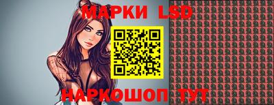 гидропоника Краснознаменск