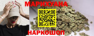 стаф Краснодар