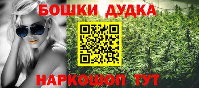 стаф Краснодар