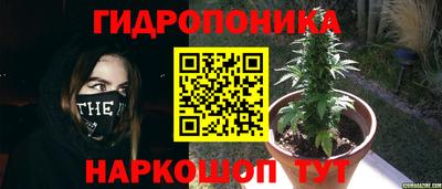 гидра Краснокаменск