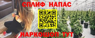 гидропоника Краснознаменск