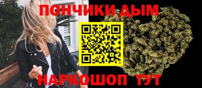 гидропоника Краснознаменск