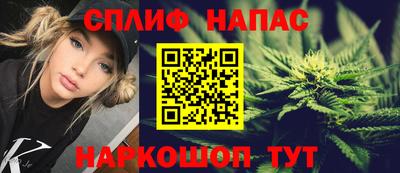 стаф Краснодар