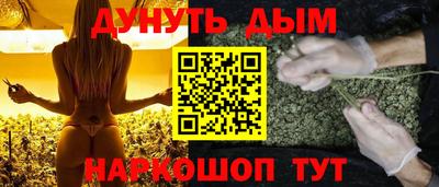 гидропоника Краснознаменск