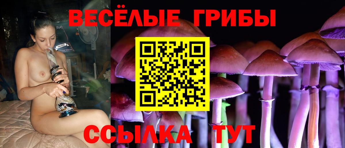 Галлюциногенные грибы MAGIC MUSHROOMS Калуга