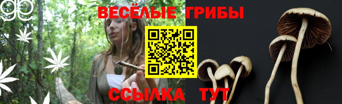 Калуга  Галлюциногенные грибы прущие грибы  Вход с VPN  Галлюциногенные грибы GOLDEN TEACHER 